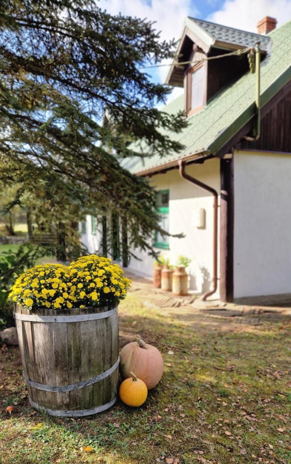 Klodnia 1 Apartment *